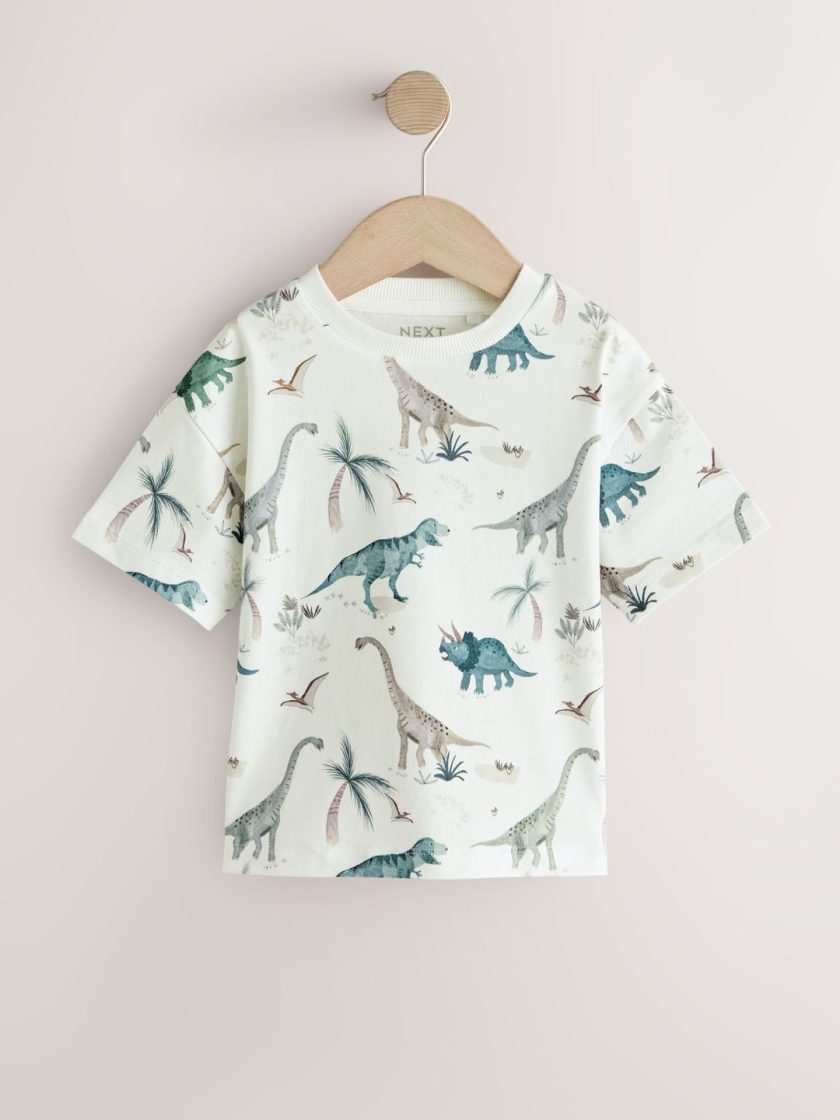 NEXT - Boys Pure Cotton T-Shirt